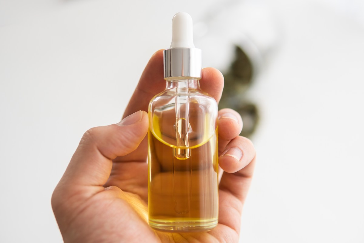 Before Purchasing Know the Most Frequently Asked Questions About CBD Oil&nbsp;￼